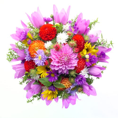 Flowers To Cheer - 1