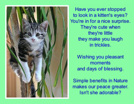 Wishing You Happiness