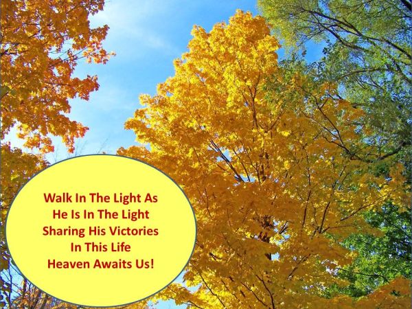 Heaven Awaits Us - 1