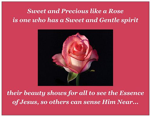 Precious like a Rose