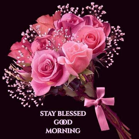 Morning - Stay Blessed
