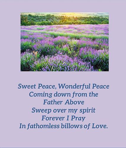 His Peace From Above