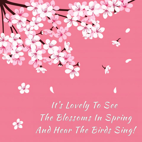 Blossoms In Spring - 1