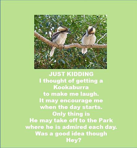 To Make Me Laugh