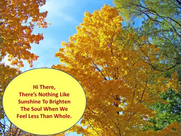 Sunshine To Brighten - 1a