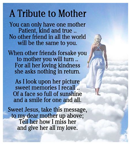 A Mothers Tribute