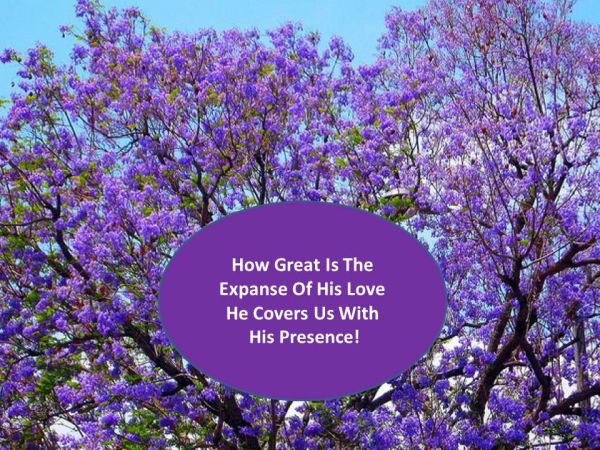 Expanse Of His Love - 1