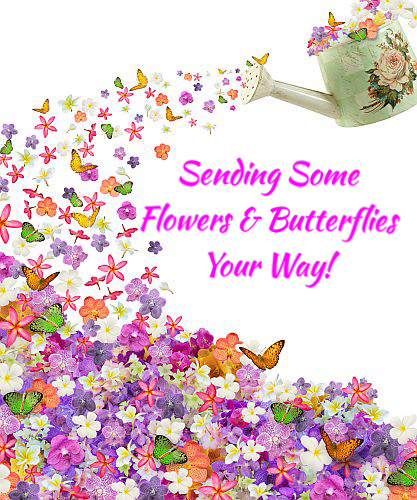 Flowers And Butterflies