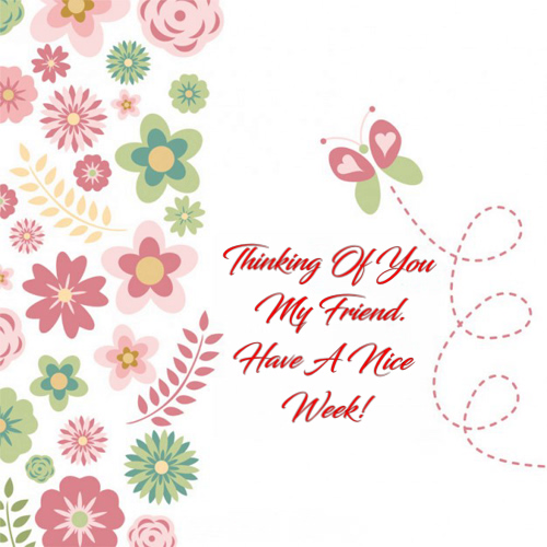Have A Nice Week - 1