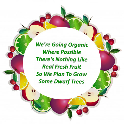Plans To Grow Fruit