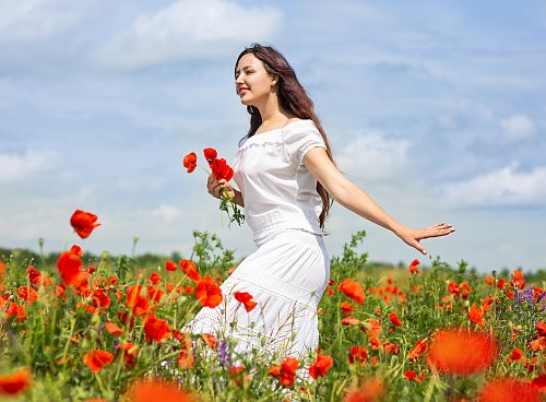Among the Poppies - 2