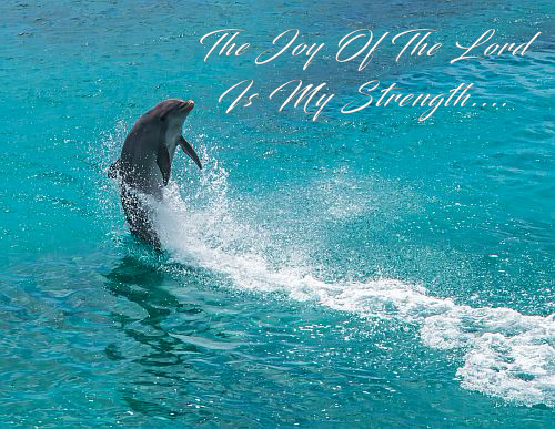 Joy Is My Strength
