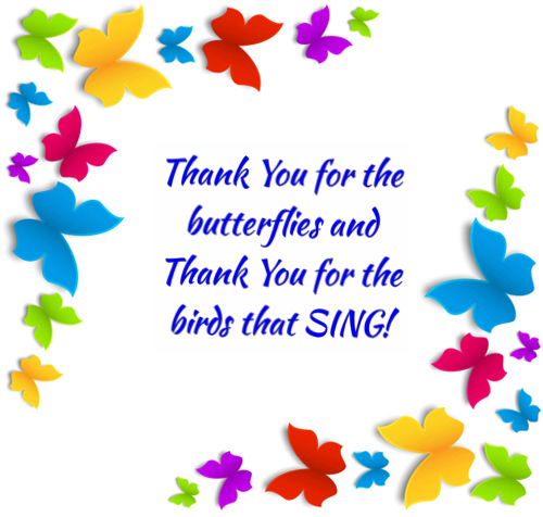 Thank You For Butterflies