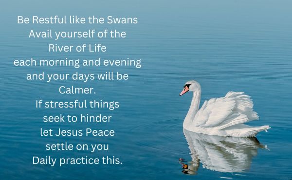 Be Restful like Swans 