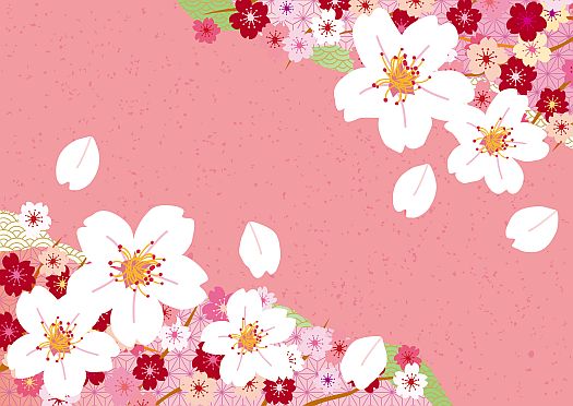 Pastel Cherry Blossoms