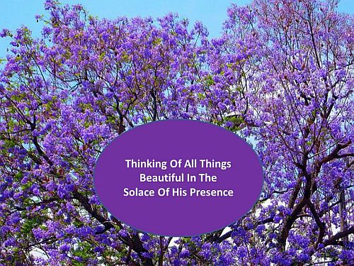 Solace Of His Presence