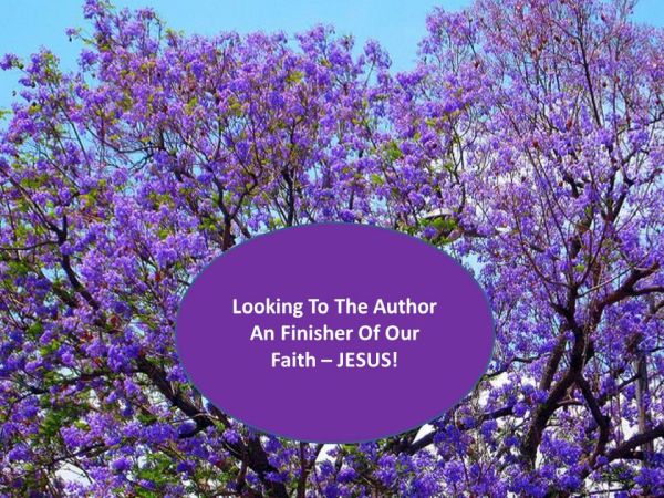 Looking To Jesus - 1