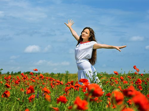 Among the Poppies - 1