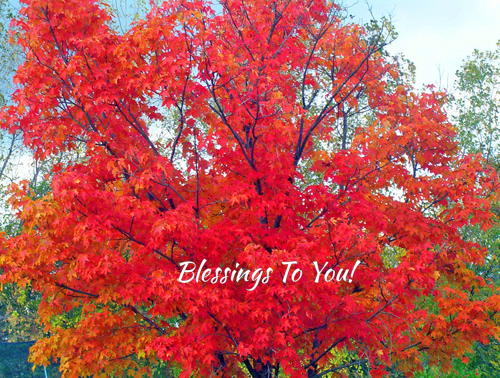 Blessings To You - 1