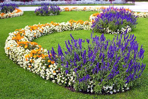Garden Bed of Flowers 1