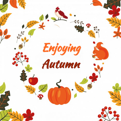 Enjoying Autumn - 1