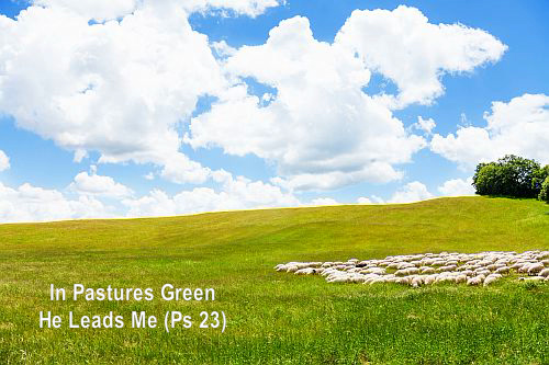 In Pastures Green Ps 23