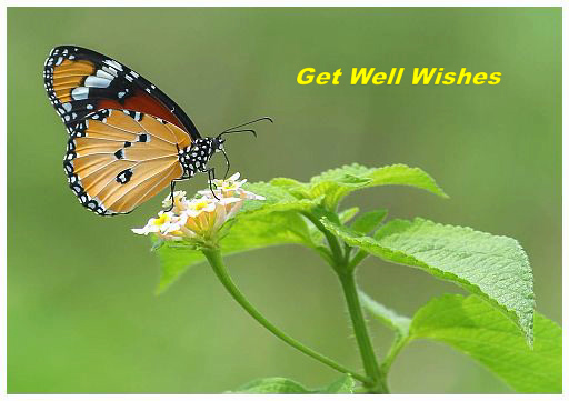 Get Well Wishes - 1