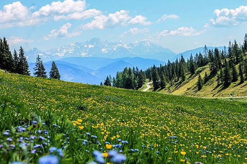 Peaceful Hillside