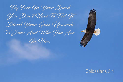 Free in your Spirit