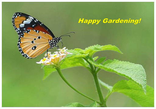 Happy Gardening - 1