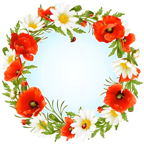 Flowers and Ladybirds