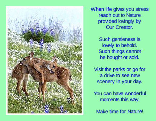 Reach Out To Nature
