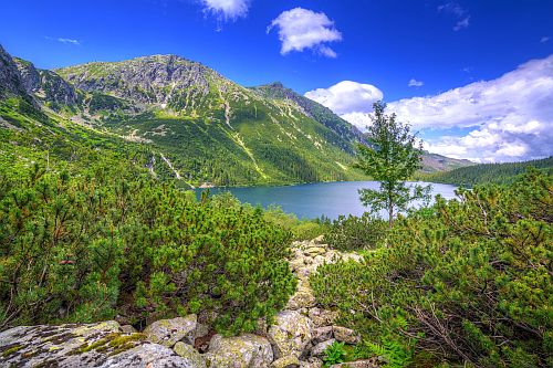 Lake In The Hills - 2