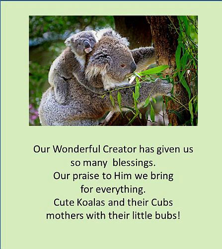 Our Creators Blessings